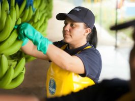 Δέσμευση βιωσιμότητας από την Chiquita